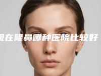 现在隆鼻哪种医院比较好呢（隆鼻医院哪个好）