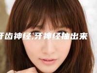 牙齿神经,牙神经抽出来的过程图
