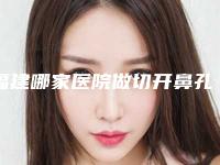 福建哪家医院做切开鼻孔法鼻翼缩小较专业[福建做鼻子最好的医院]