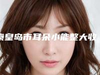 秦皇岛市耳朵小能整大收费标准人气项目医生资料分享（秦皇岛市耳朵小能整大手术多少钱最合理）