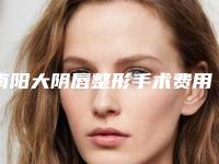 南阳大阴唇整形手术费用大致要多少钱
