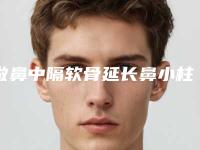 做鼻中隔软骨延长鼻小柱治疗果怎么样[鼻中隔软骨延长鼻小柱有必要做吗]