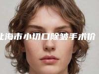 北海市小切口除皱手术价格(目)表最新收费一览-北海市小切口除皱手术报价和费用