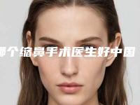 哪个缩鼻手术医生好中国：缩鼻手术医生前50佳公开名单推荐