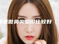 哪里做鼻尖整形比较好（鼻子整形做什么样的好）