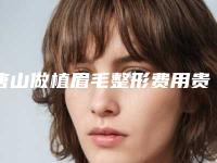唐山做植眉毛整形费用贵不贵呢