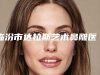 临汾市达拉斯艺术鼻雕医院排名榜top10强白名单发布（临汾丽都整形美容门诊部实力资质挨个分析）