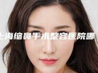上海缩鼻手术整容医院哪家成功案例多,上海宏明整形口碑技术无一不强