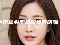中国鼻尖垫鼻软骨医院哪家好：鼻尖垫鼻软骨医院top50权威筛选价格不贵