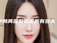 中韩两国整形差距有多大(中韩两国整形差距有多大啊)