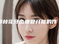 攀枝花牙齿根管开髓的作用可以持久保持