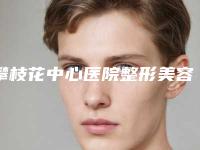 攀枝花中心医院整形美容外科费用表明细2025版标准附软骨隆鼻手术案例