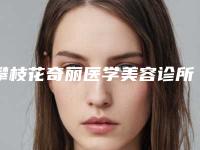 攀枝花奇丽医学美容诊所价格(费用)清单官方正规2025释出附手术瘦鼻子案例