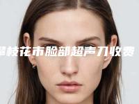 攀枝花市脸部超声刀收费明细完整一览(脸部超声刀均价为：3902元)