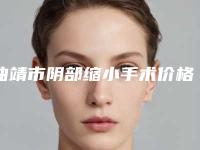 曲靖市阴部缩小手术价格(收费标准)附做项目价位区间表(阴部缩小手术均价为：7079元)