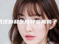 武汉协和医院钟爱梅鼻子案例效果好吗医生简介+鼻子整形案例