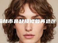 榆林市鼻缺损修复再造医生排行top10强超全评测-榆林市鲁开化整形医生