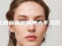 江西省鼻腺体肿大手术医生排行前10名名单产生-张风琏医生网友热门推荐