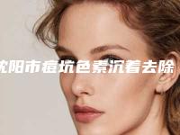 沈阳市痘坑色素沉着去除医院-沈阳市艾咪整形外科机构实力表现亮眼