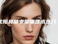 沈阳鼻部支架重建术热门医院排名前五强！网友力荐信赖之选！