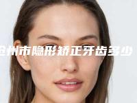 沧州市隐形矫正牙齿多少钱-沧州市隐形矫正牙齿医院排行榜前十位重磅推出