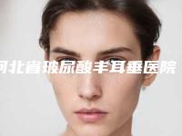 河北省玻尿酸丰耳垂医院在榜清单前十位来啦（石家庄冀美医疗美容实力不可小觑）