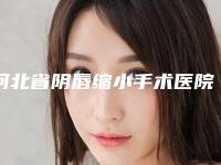 河北省阴唇缩小手术医院排行榜top10综合横评-廊坊艾美皮肤激光整形医疗美容各位医生辨识度都比较高