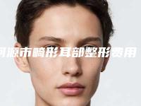 河源市畸形耳部整形费用表明细2025新版本(畸形耳部整形均价为：55349元)
