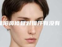 濮阳鼻修复对排汗有没有影响