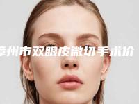 漳州市双眼皮微切手术价格(收费标准)全面上线(双眼皮微切手术均价为：7390元)