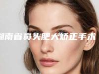 湖南省鼻头肥大矫正手术哪个整形医院好(益阳爱思特整形美容诊所榜单抢先看)