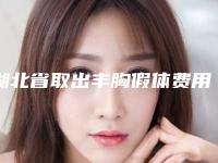 湖北省取出丰胸假体费用表明细2025版正式一览(取出丰胸假体均价为：31354元)