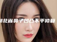 湖北省鼻子凹凸不平修复医院排名榜前十位清单收好-湖北省鼻子凹凸不平修复整形医院
