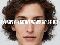 湖州市自体脂肪颗粒注射丰唇医院哪个好_医院详版实力对比一览-湖州市自体脂肪颗粒注射丰唇整形医院