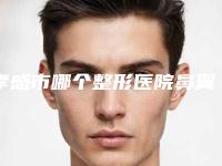 孝感市哪个整形医院鼻翼缘缺损做的好(孝感市中心医院整形美容科价格童叟无欺)