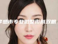 孝感市专业微整形割双眼皮医院哪几家安全-微整形割双眼皮术大概花多少钱