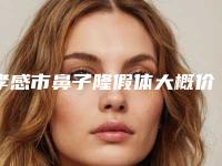 孝感市鼻子隆假体大概价格-价格在28916元起