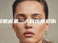 安徽省第二人民医院烧伤整形科价目表总览-超凡曲线减肥案例