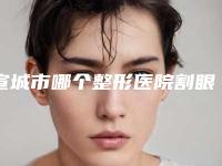 宣城市哪个整形医院割眼袋填充泪沟最好(宣城诺诗雅医疗美容门诊部同级难有敌手)