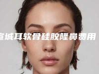 宣城耳软骨硅胶隆鼻费用大致多少钱