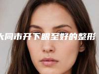 大同市开下眼至好的整形医院(大同名仕整形美容医解锁前三)