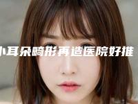 小耳朵畸形再造医院好推荐：小耳朵畸形再造医院前30佳实力口碑优异