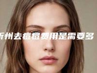 忻州去痘痘费用是需要多少钱,忻州去痘痘美容的价格高不高