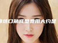 廊坊口角成型费用大约是多少_廊坊口角成型费用是怎样的