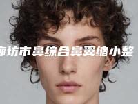 廊坊市鼻综合鼻翼缩小整形医院价格(廊坊中月鸿医疗美容整形门诊部是医美健康守护者)