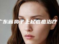 广东省鼻子上起痘痘治疗医院在榜名单综合实力top10为您星选（广州康华清医疗美容名单推荐给你）
