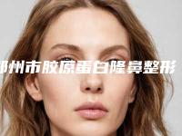 郑州市胶原蛋白隆鼻整形价格(价目)表分享2025-郑州市胶原蛋白隆鼻整形费用很贵吗