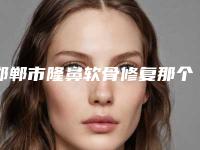 邯郸市隆鼻软骨修复那个三甲医院比较好(河北工程大学附属医院口碑评价好医生)