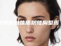 邯郸市自体脂肪隆胸整形医生排名前10榜单公布-熊奔医生2025美容价格表在线查询