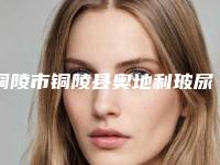 铜陵市铜陵县奥地利玻尿酸隆鼻比较出名的整形医生-官方解读铜陵市铜陵县奥地利玻尿酸隆鼻选出前六医生对比全网都在安利